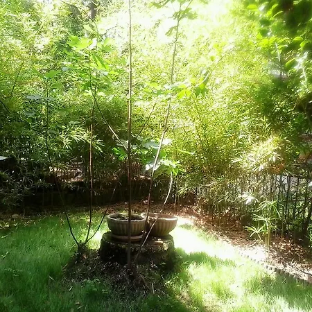 Apartman Charming Maisonette